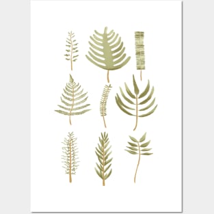 Fern Friends Posters and Art